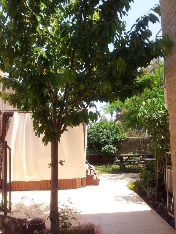 Pinat Nofesh Villa Rosh Pinna Room photo